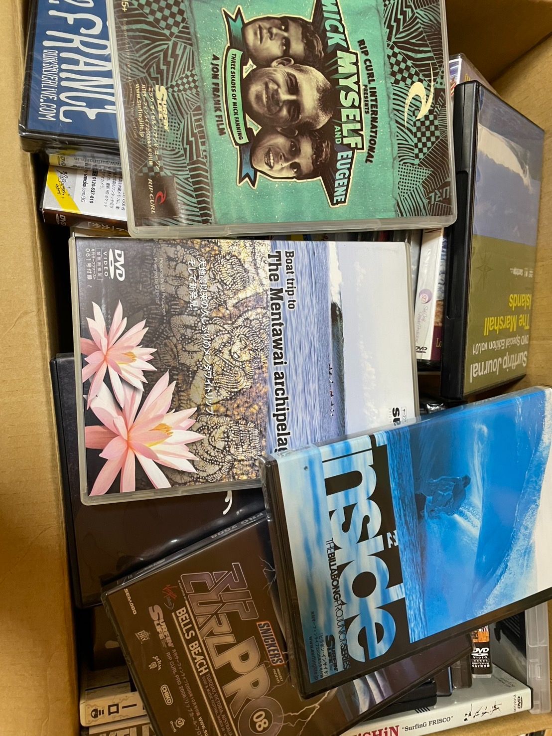 サーフィンライフ付録 サーフィンライフ付録 サーフィンライフ8月8日