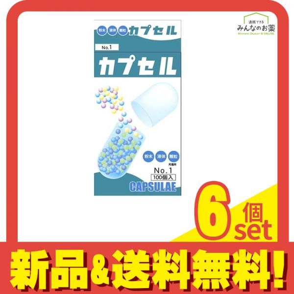 小林カプセル 食品カプセル 100個入 1号 6個セット