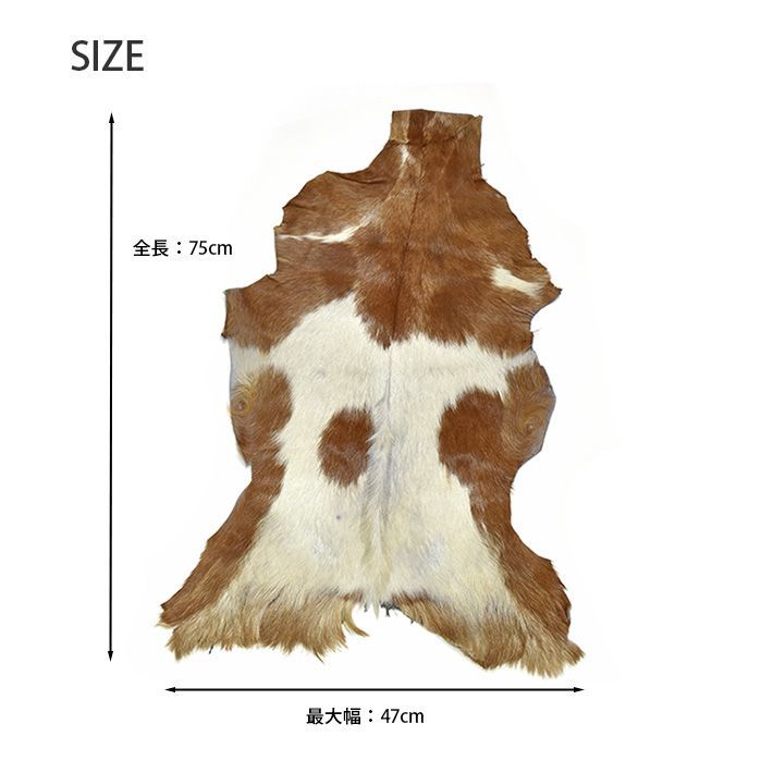 毛付き ボニーカーフ レザー ゴートファー 山羊 ヤギ やぎ原皮 希少