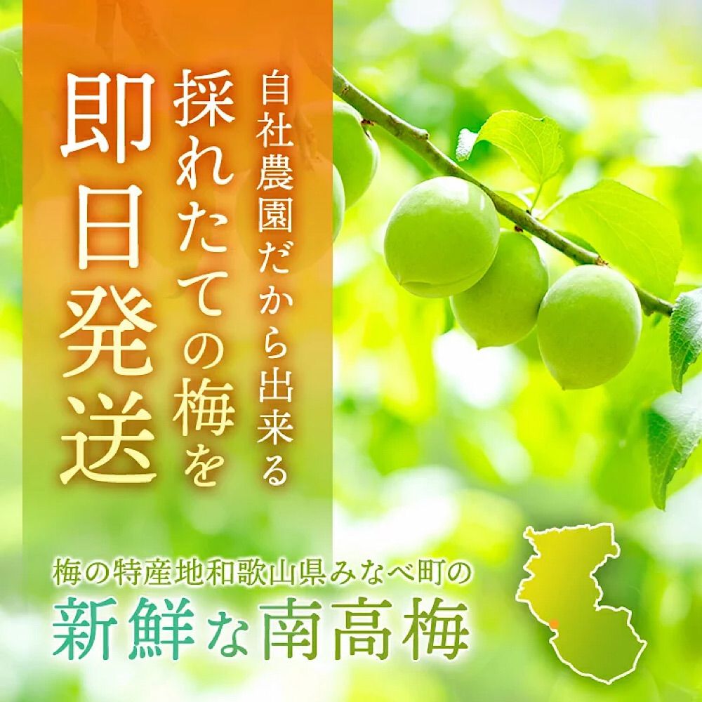 6|1~