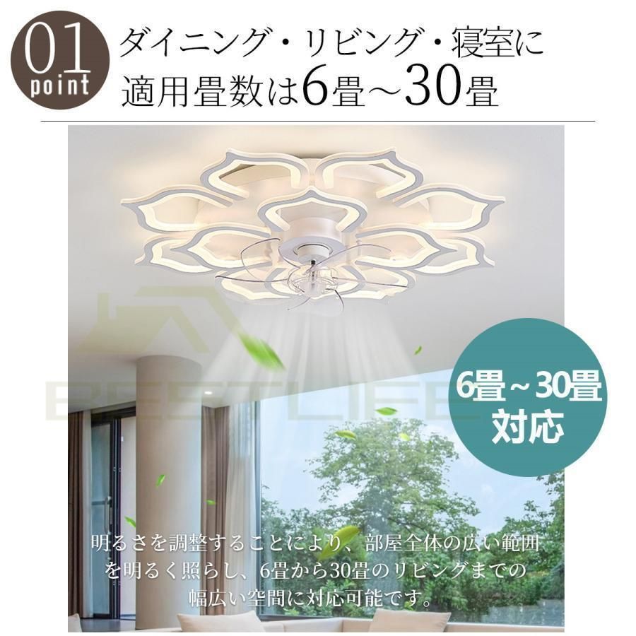 エコ シーリングライト