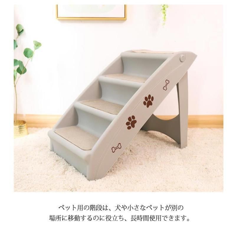 ドッグ