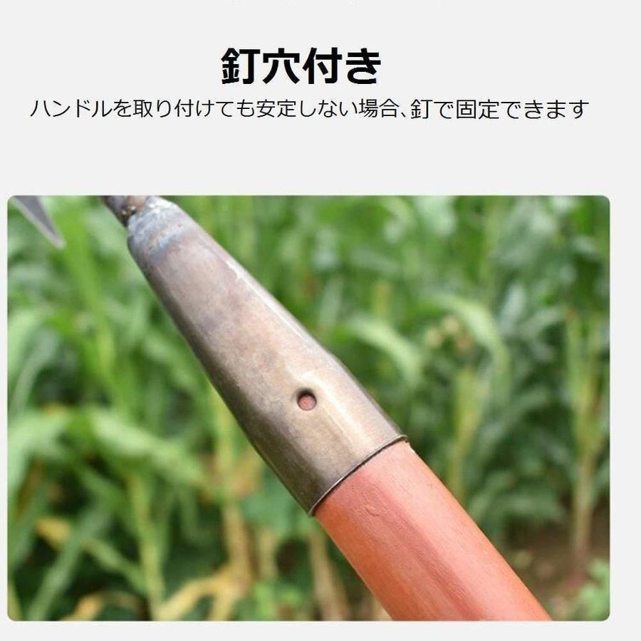 日本で3個しか無い試作品アスキーパット スケルトン（国宝級品） 食べる