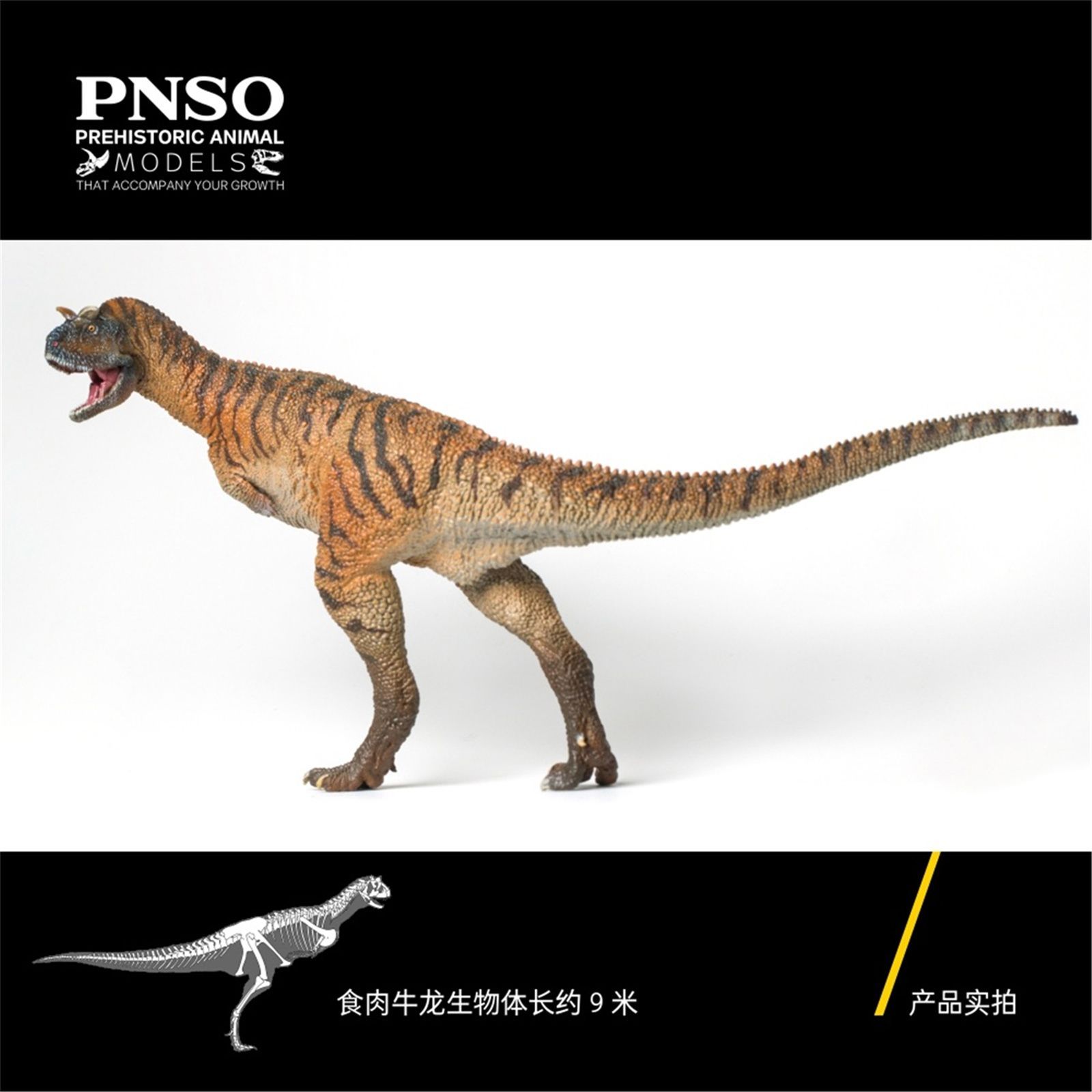 PNSO 成長シリーズ カルノタウルス 恐竜 アベリサウルス科 動物 リアル フィギュア PVC プラモデル おもちゃ 模型 恐竜好き 誕生日  プレゼント オリジナル 塗装済 完成品 23.5cm級 - メルカリ