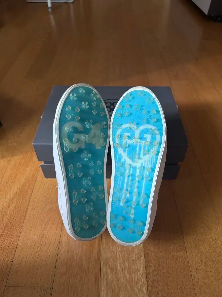 ゴルフシューズ モデル