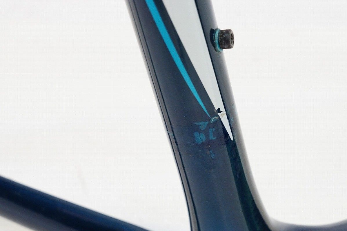 TREK 「トレック」 MADONE 6.9 PRO 2009年モデル フレームセット