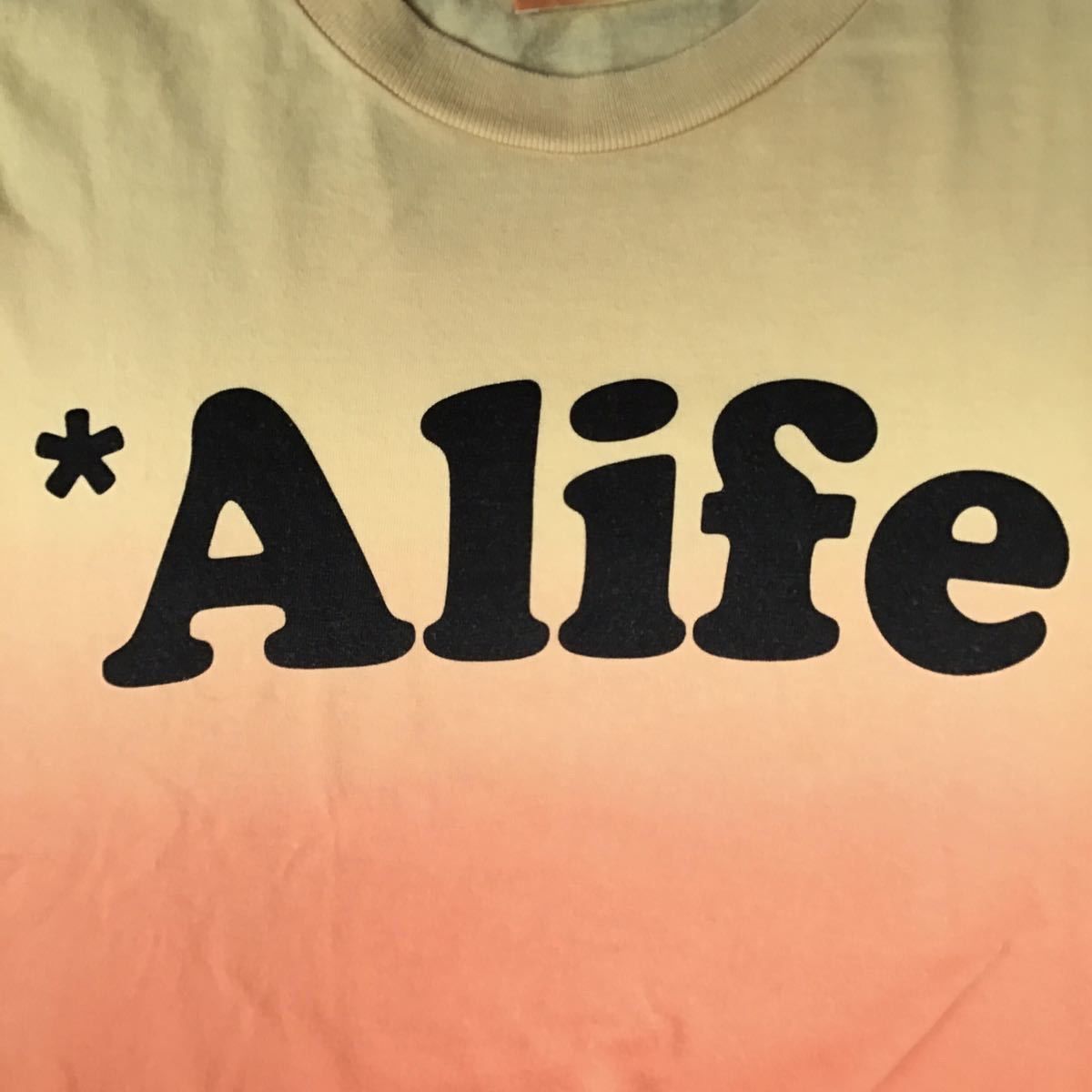 ape Alife グラデーション Tシャツ S A BATHING APE - 【オールド】エイプ/APE Tシャツ