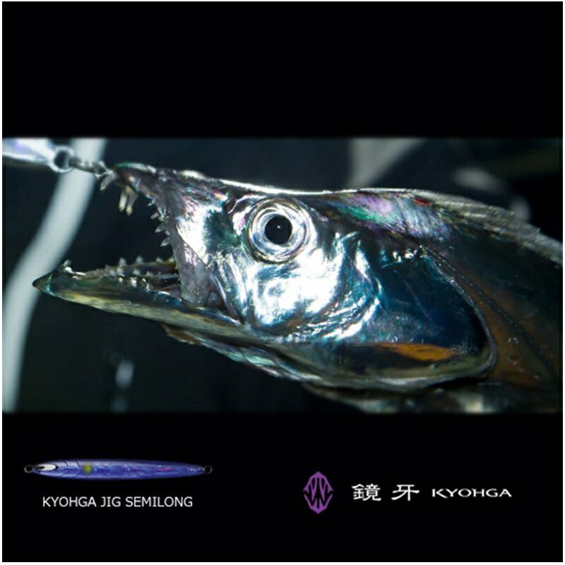 鏡牙ジグ セミロング 200 CHパープルゼブラ / 太刀魚 タチウオ