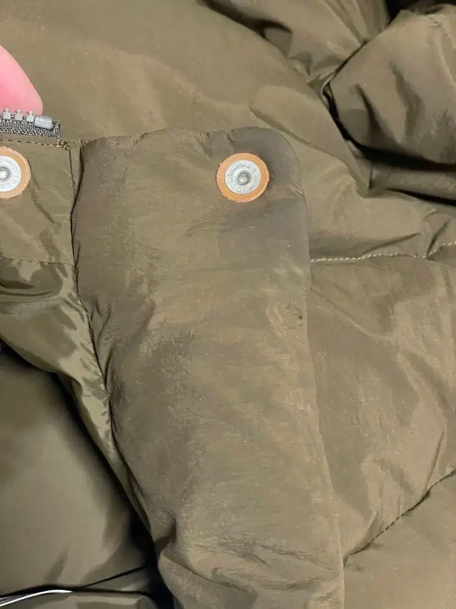 サイズ