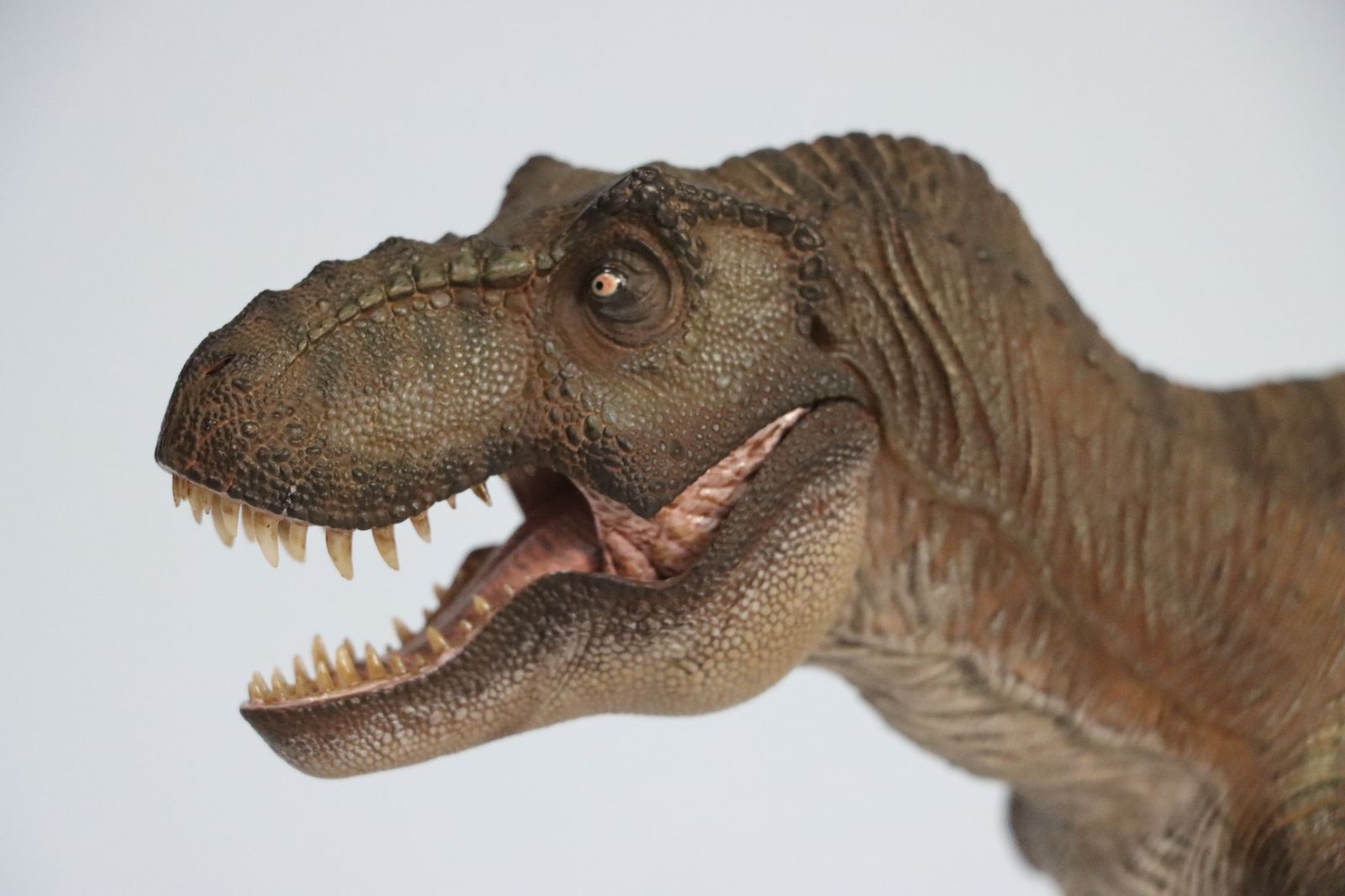 Nanmu 本心楠改 1/35 サイズ Alpha ティラノサウルス Tレックス Ｔ-REX 