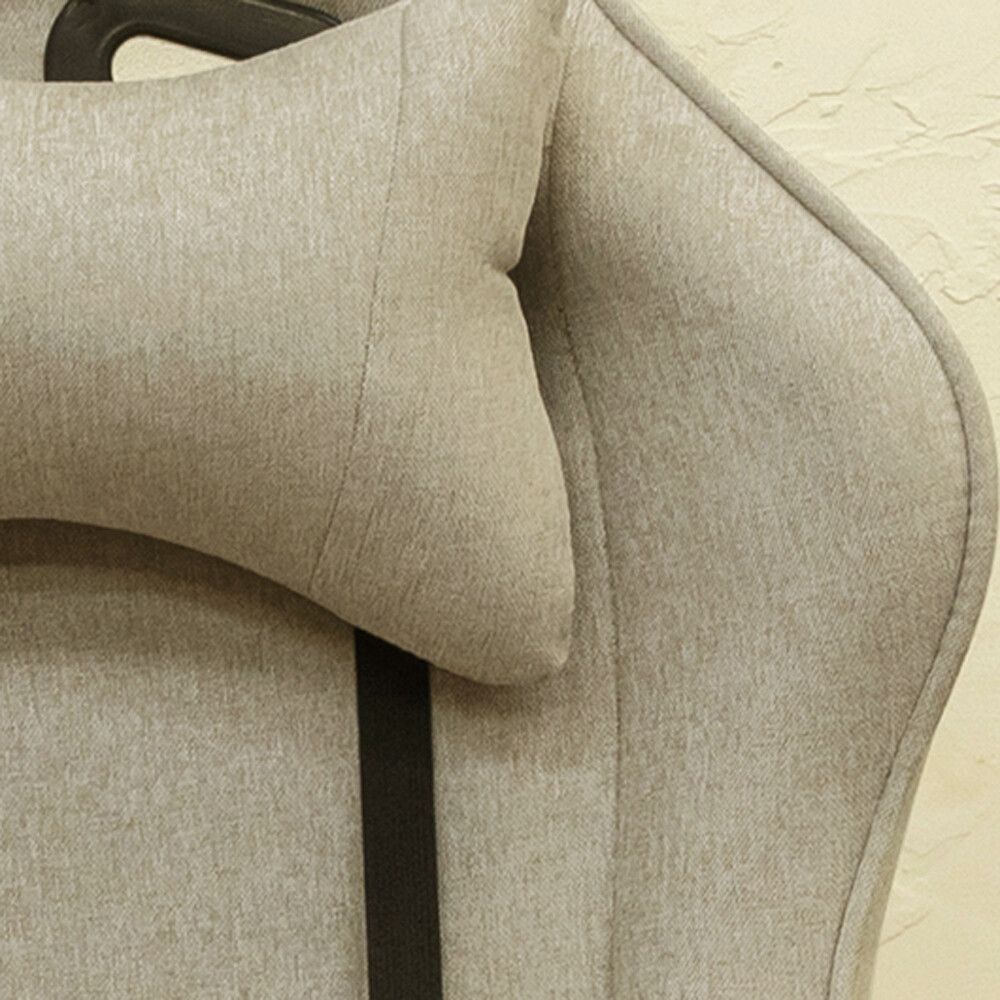 12月下旬入荷予定