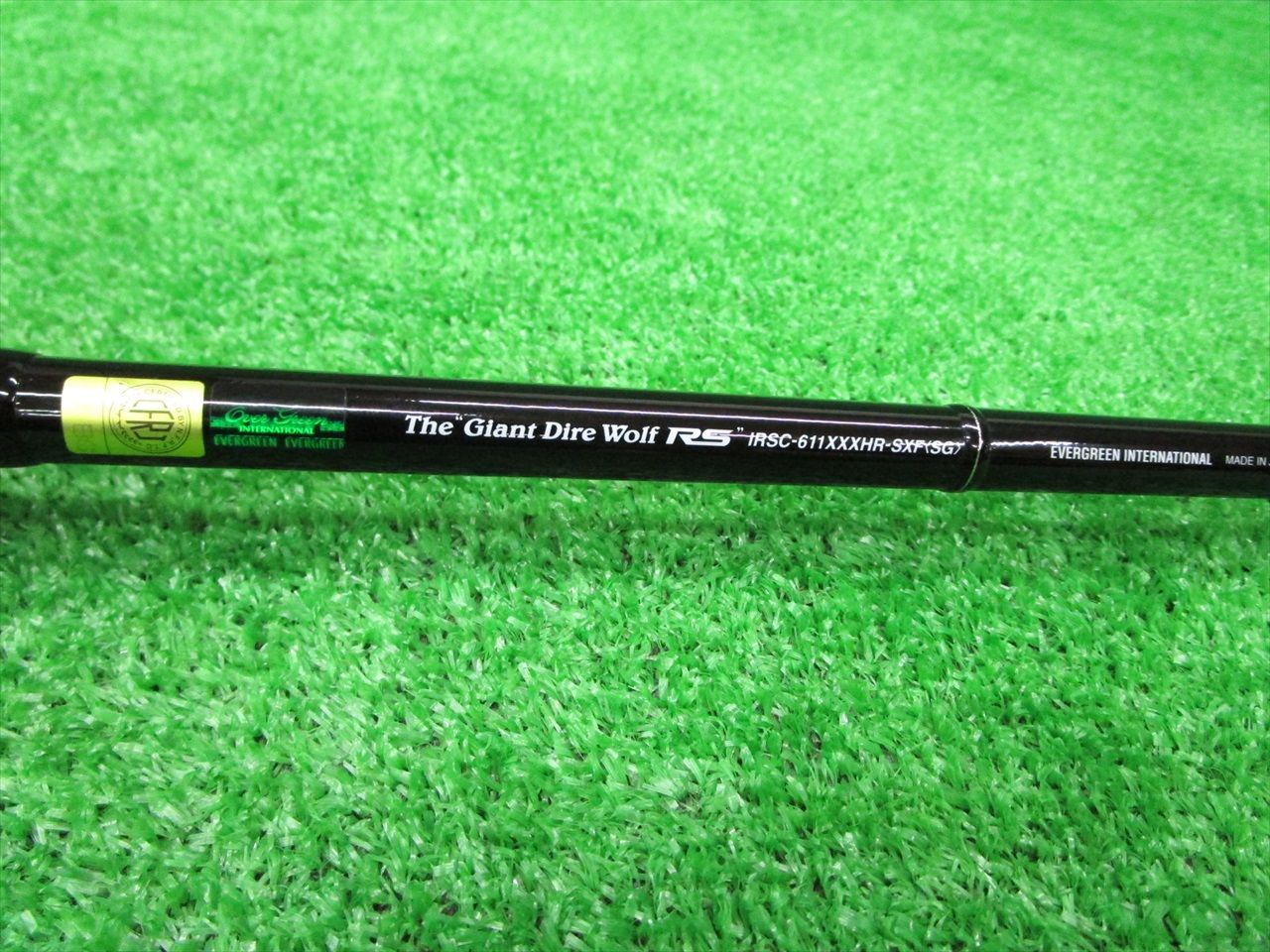 エバーグリーン