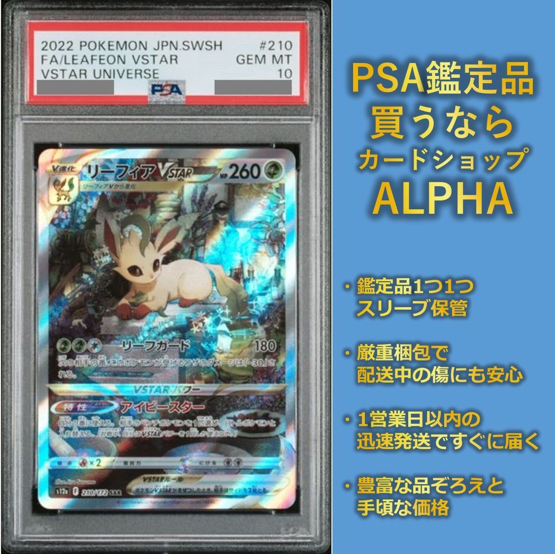 ストライプ デザイン/Striipe design PSA 10 連番 ポケモンカード