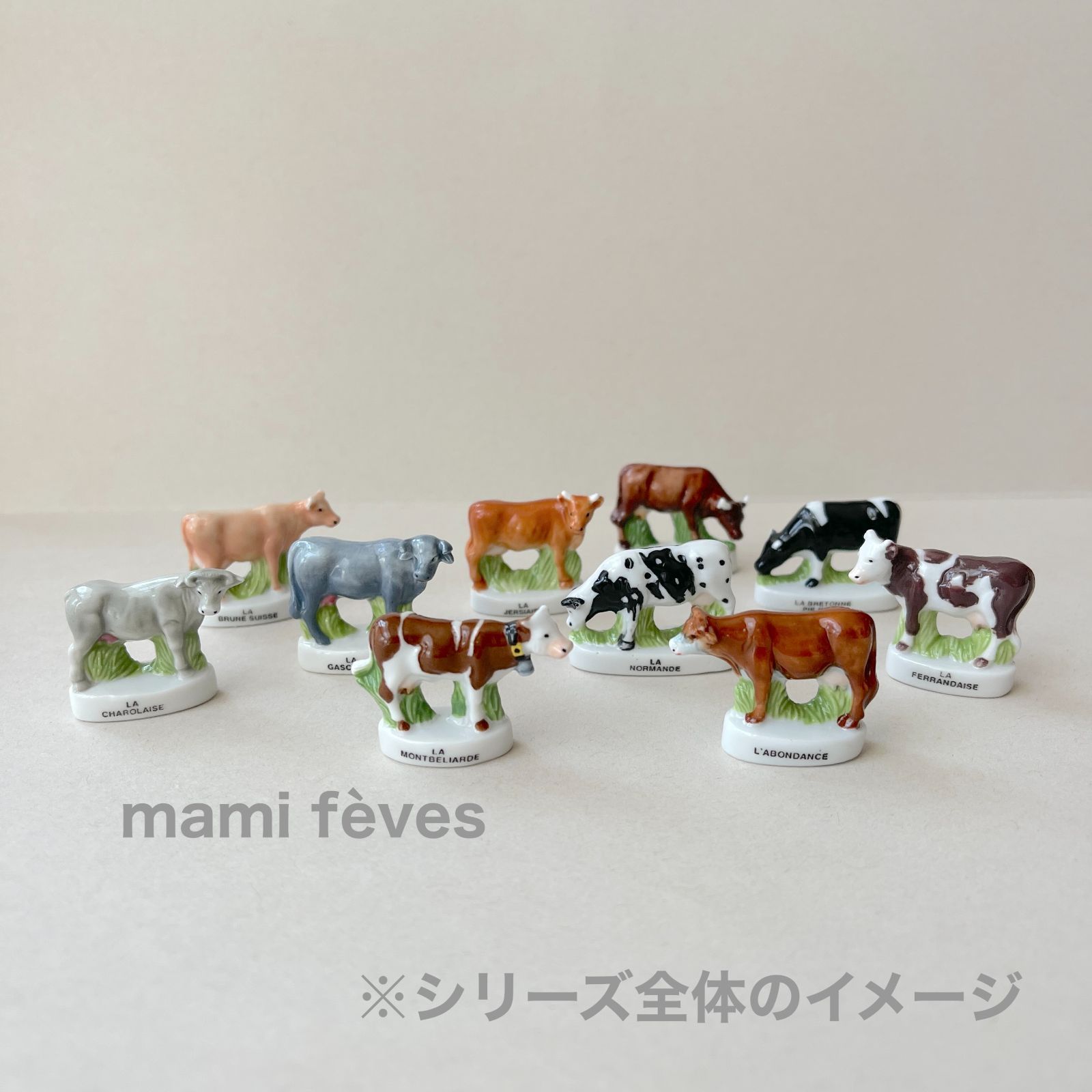 フェーヴ フェランデーズ牛 牛の品種 フランス フェーブ