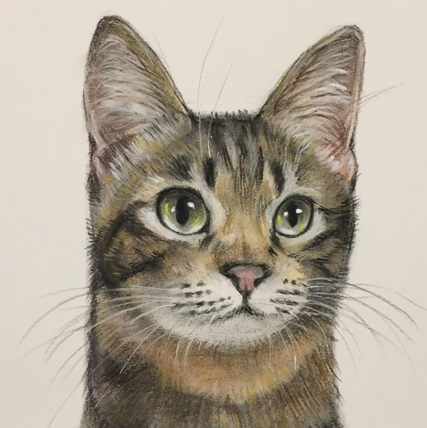 色鉛筆画猫A４ベンガル猫 - 美術品