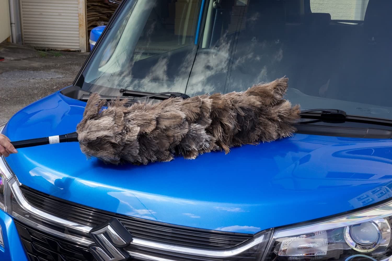 オーストリッチ羽毛の