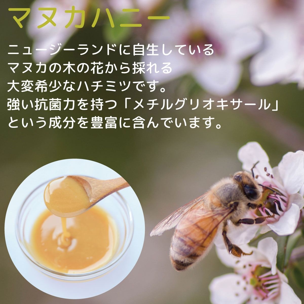 のサムネイル