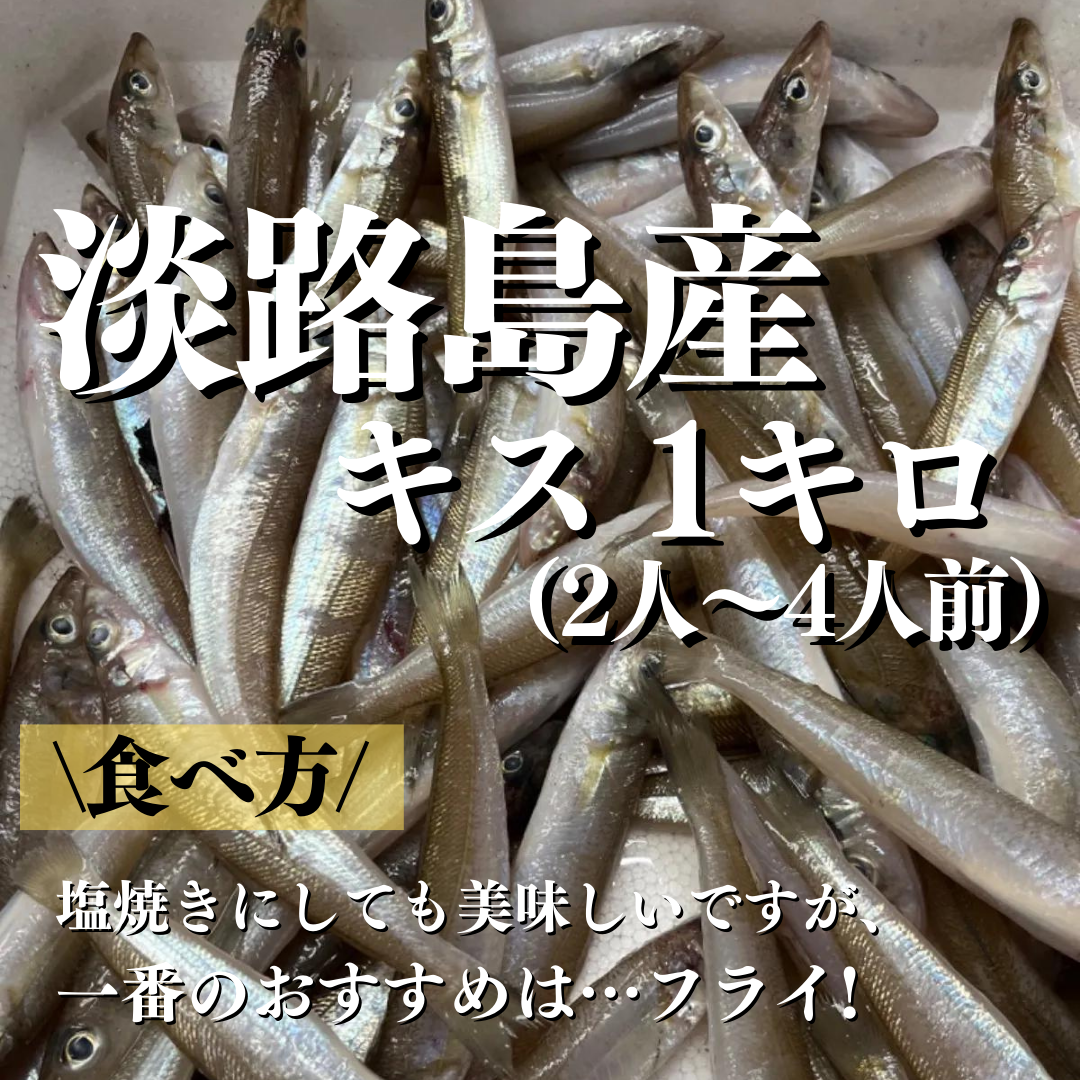 送料無料！淡路島産キス1キロ　2人〜4人前