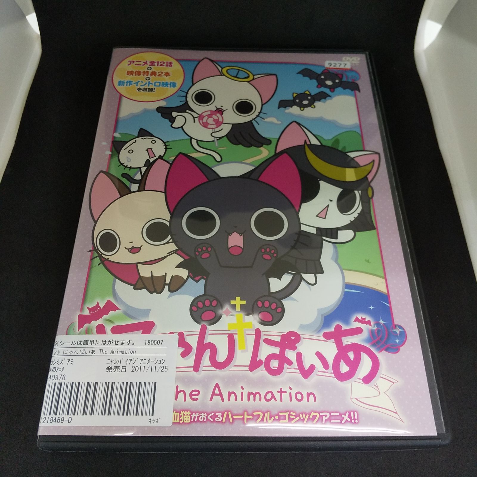 DVDまとめ売り＋BOXセット2個（インディペンデント系ミニシアター系等） にゃんぱいあ The Animation レンタル専用 中古 DVD ケース付き