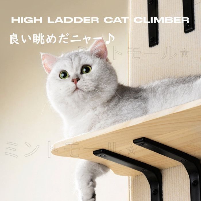 キャットステップ