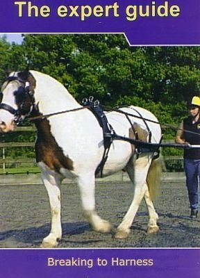 The Expert Guide - Breaking to Harness