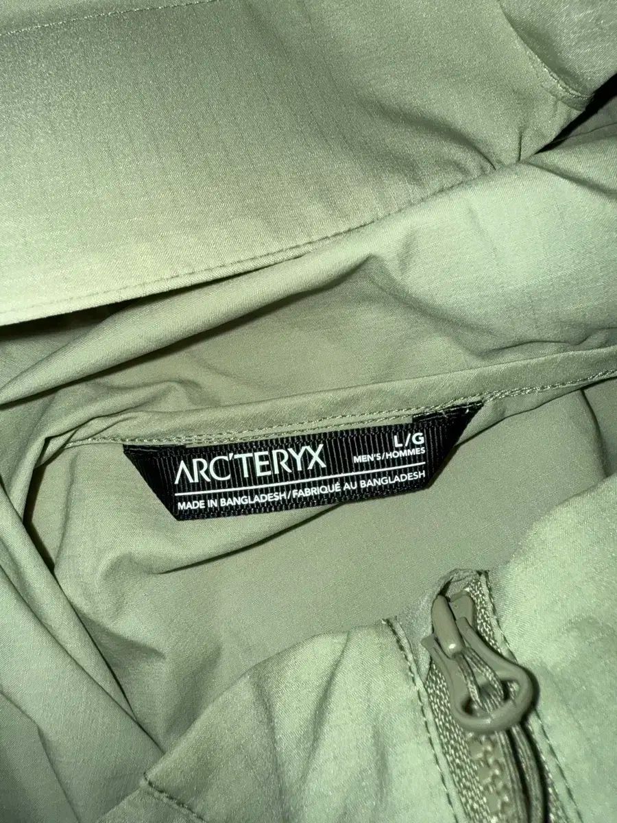 フーディ クロリス