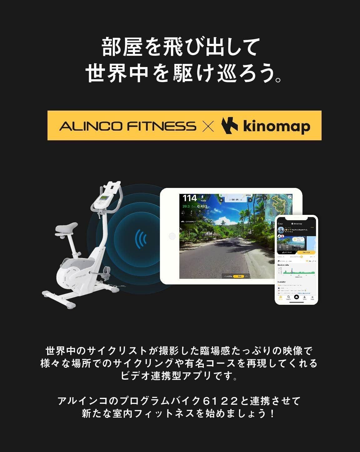 滑り止め アルインコ