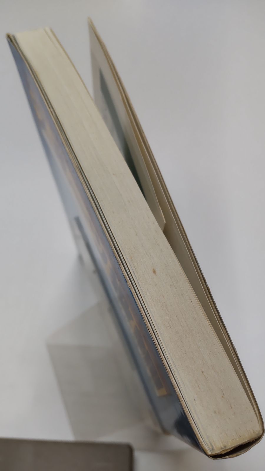 気分さわやか スポーツ投網 竹内賢典著 西東社 - メルカリ