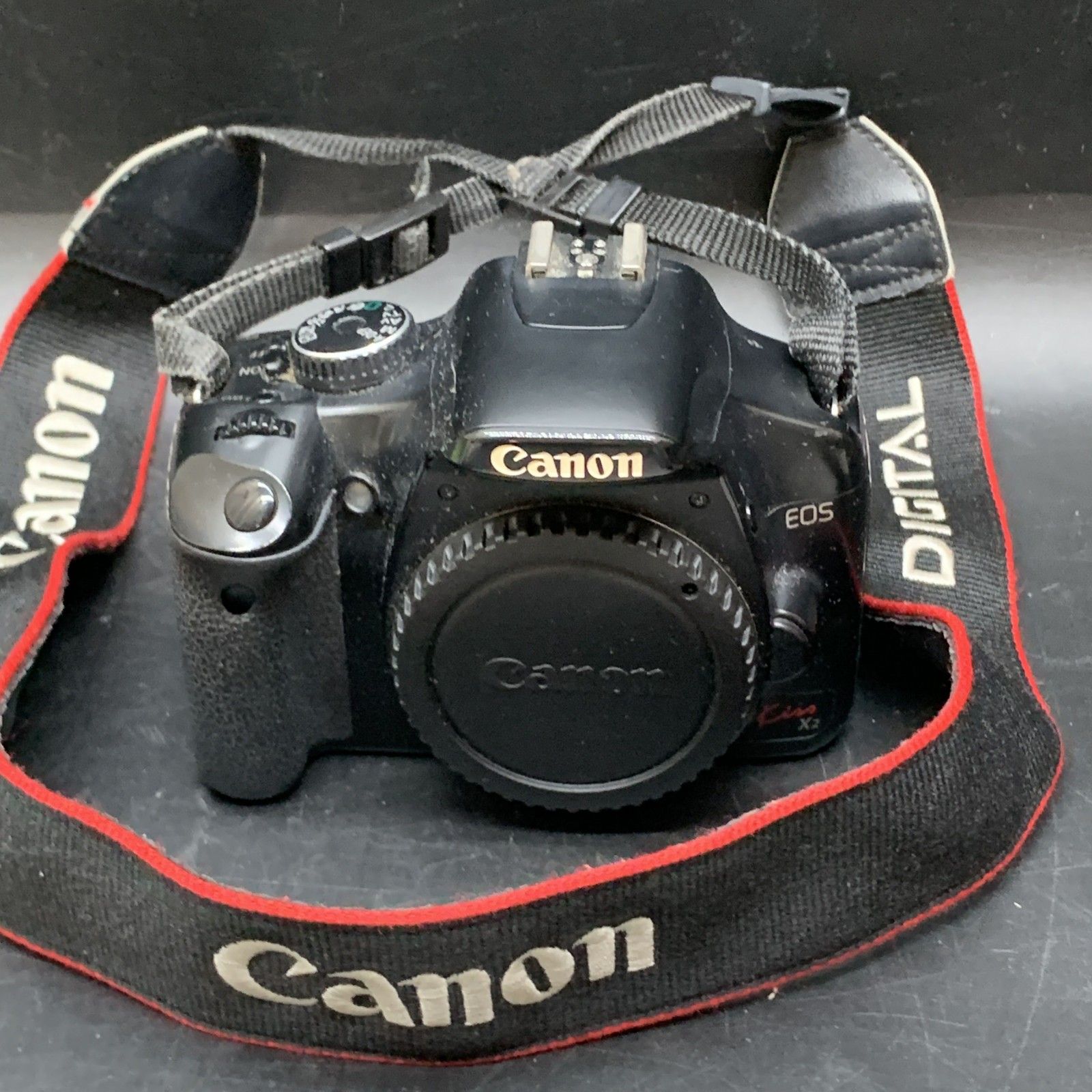 【ヨッシーさま専用】 よっしーさま専用 よっしーさま、専用です。 楽天市場】ヨッシーの通販