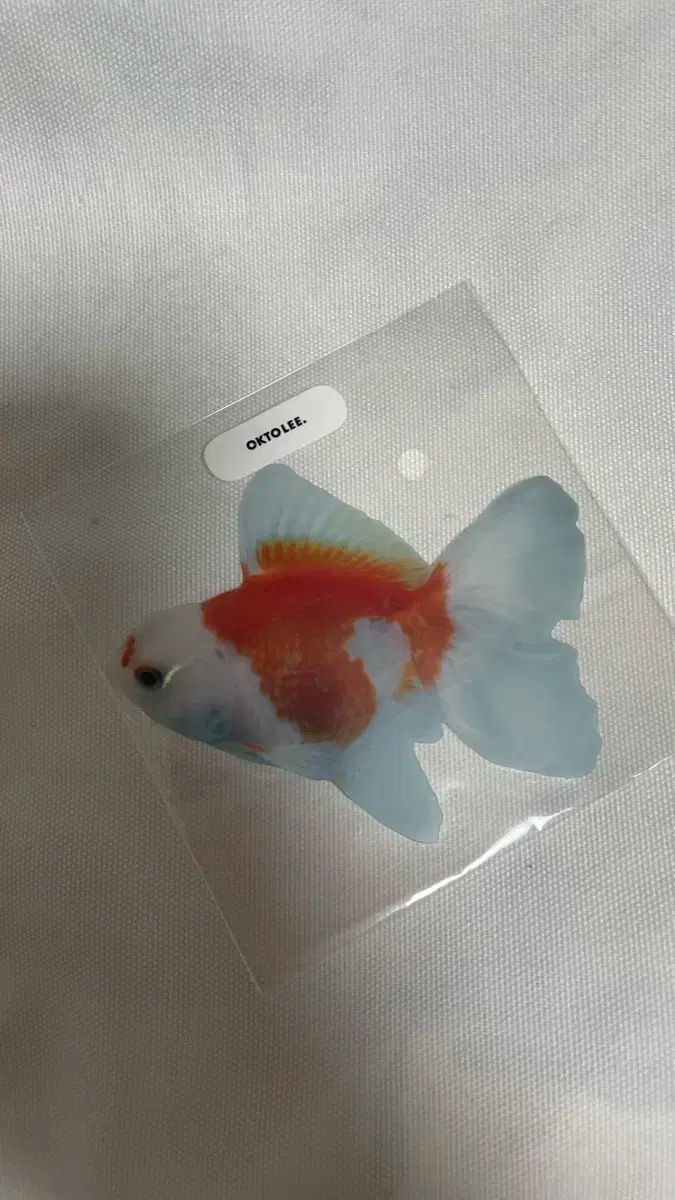 E-オクト 金魚 ブックマーク