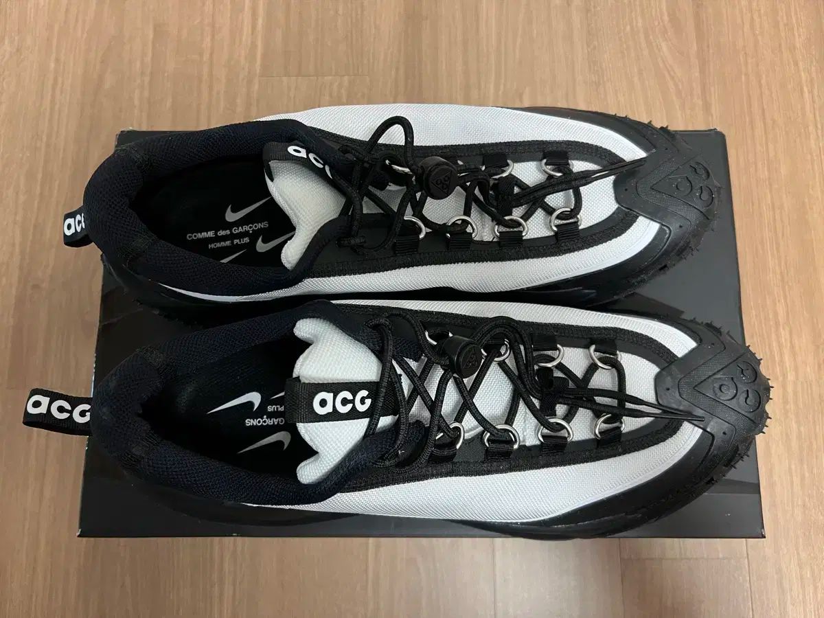 プラス ACG