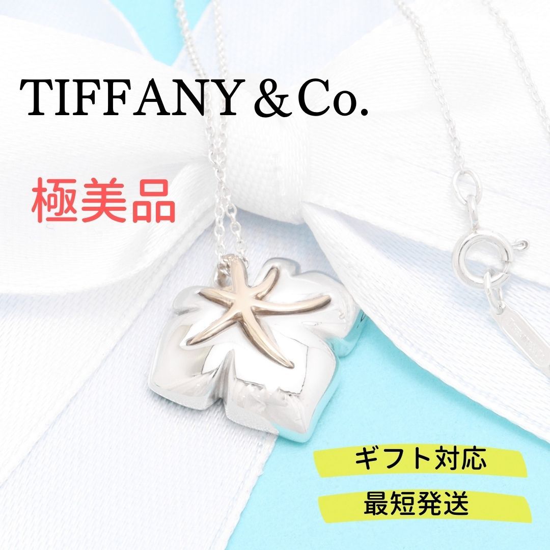 極美品】ティファニー TIFFANY&Co. ネイチャーリーフ ネックレス AG925