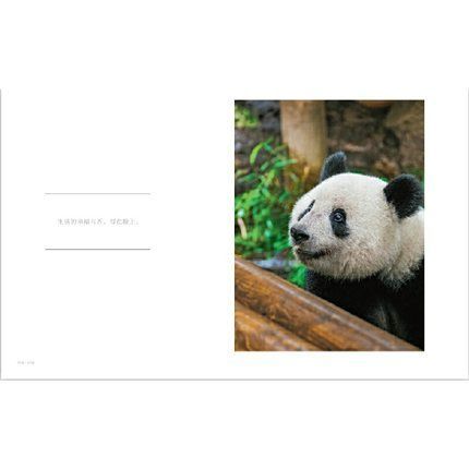 シャンシャン の写真集（日本未発売）「被宠溺的表情　香香在东京」 シャンシャン写真集（日本未発売）「被宠溺的表情 香香在东京」東京