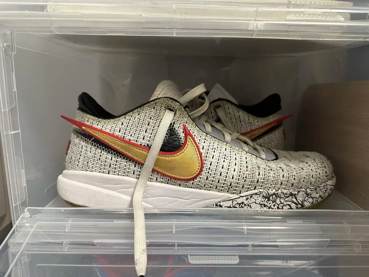 NIKE ナイキ レブロン 20 280