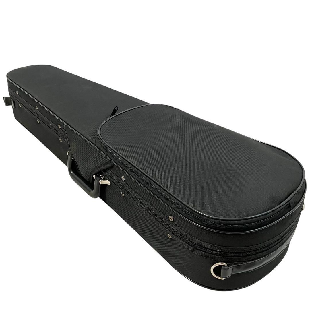 ニコロサンティ バイオリン 4/4サイズ NSN60S 弦楽器 ケース付 Nicolo Santi NSN60S 4/4 バイオリン 初心者セット 【マイスター
