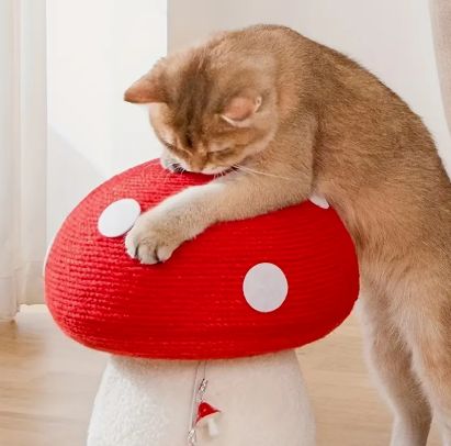 インタラクティブなキノコ型キャットスクラッチャーおもちゃ-