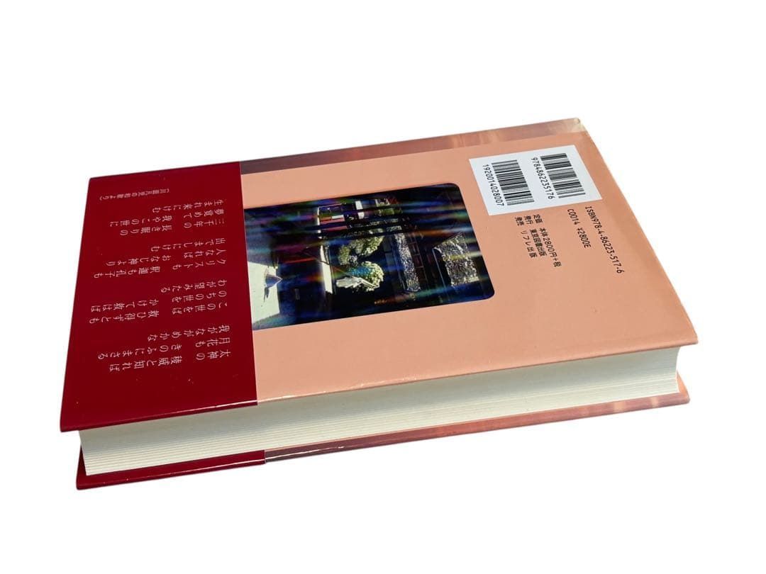 宇宙の大道を歩む―川面凡児とその時代