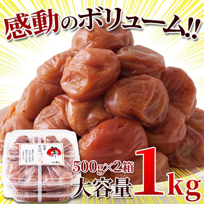 訳あり完熟はちみつ梅干し 1kg 和歌山県産 南高梅 - メルカリ