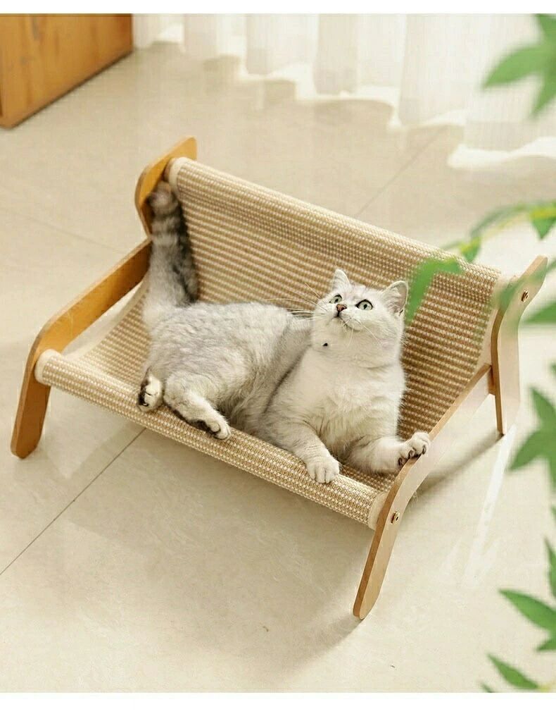 おもしろ 日用品雑貨・文房具・手芸 ペットベッド ペットハウス ペット