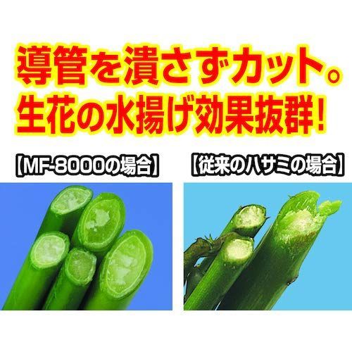 チカマサ フローリスト ウルトラロッソ花鋏 キャップ付 MF-8000P 2mvetro Amazon | チカマサ フローリスト ウルトラロッソ花鋏 キャップ付