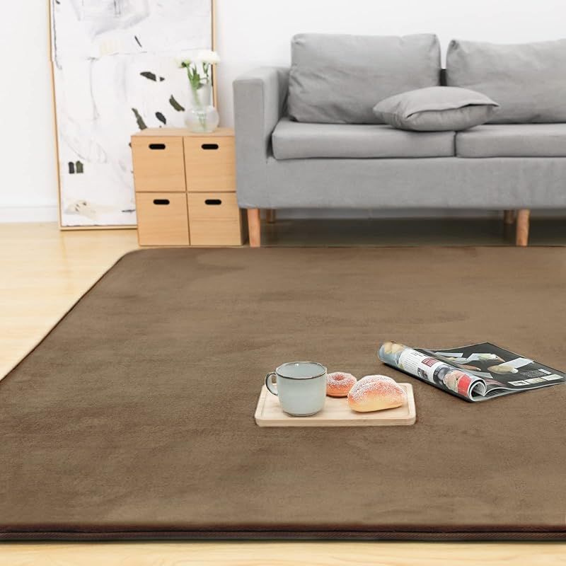 在庫セール Colorsroom カーペット ラグ 厚25mm 200×250cm 約3畳 クッションラグ 防音 厚手 撥水加工 防ダニ 抗菌 防臭 低ホルム もちもち ふわっと手触り ホットカーペット対応 低反発と同じ厚み ラグマット こたつ敷きマッ 1