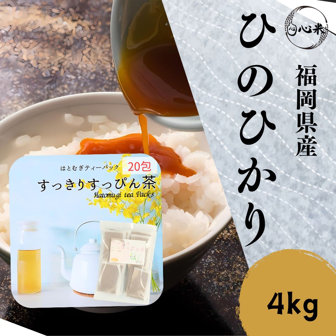 お米ヒノヒカリ 農薬（栽培期間中不使用）令和6年産 白米 4kg 福岡県