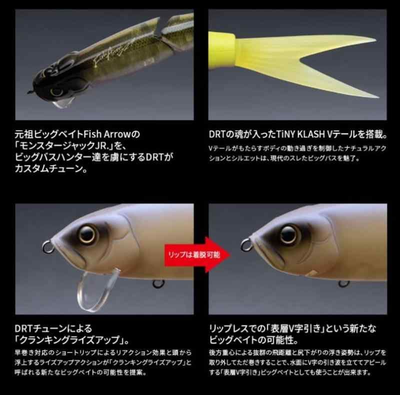 フィッシュアロー(Fish Arrow) ライザージャックJR #07 ビワサギ