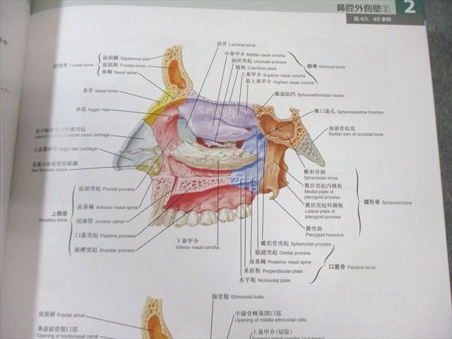  南江堂 ネッター 解剖学アトラス 原書第7版 2025 043 R 3 D 健康 医学 本