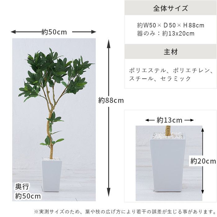 オリーブ ツリー