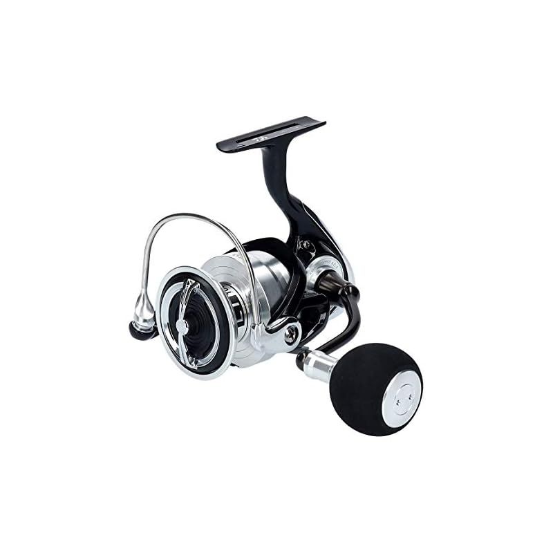 ダイワ(DAIWA) スピニングリール 19 レグザ LT5000D-CXH (2019モデル
