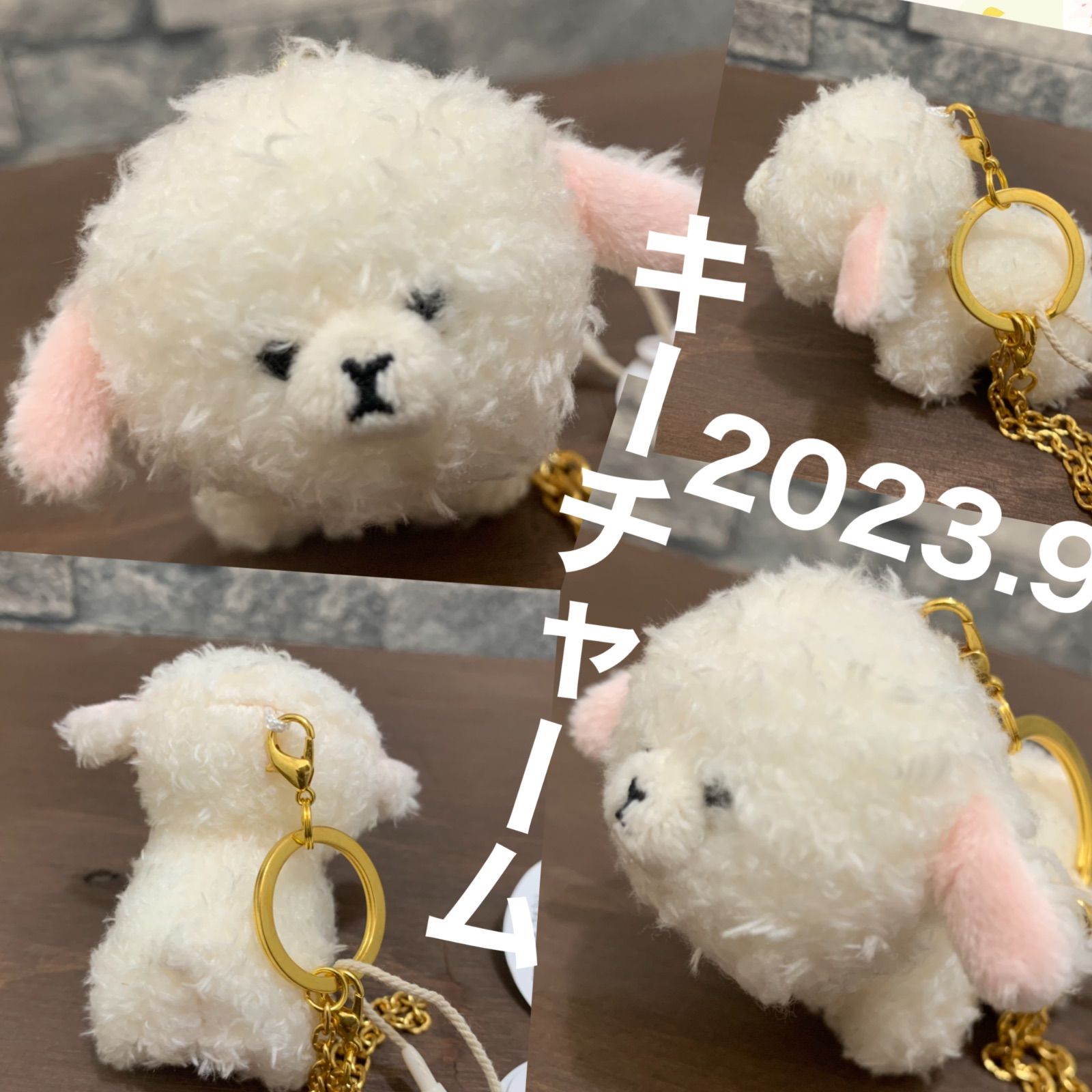 KASA 不思議なドリームランド　ぬいぐるみチャーム シークレット　星語羊 17__softsoul_pricklyeyesver.