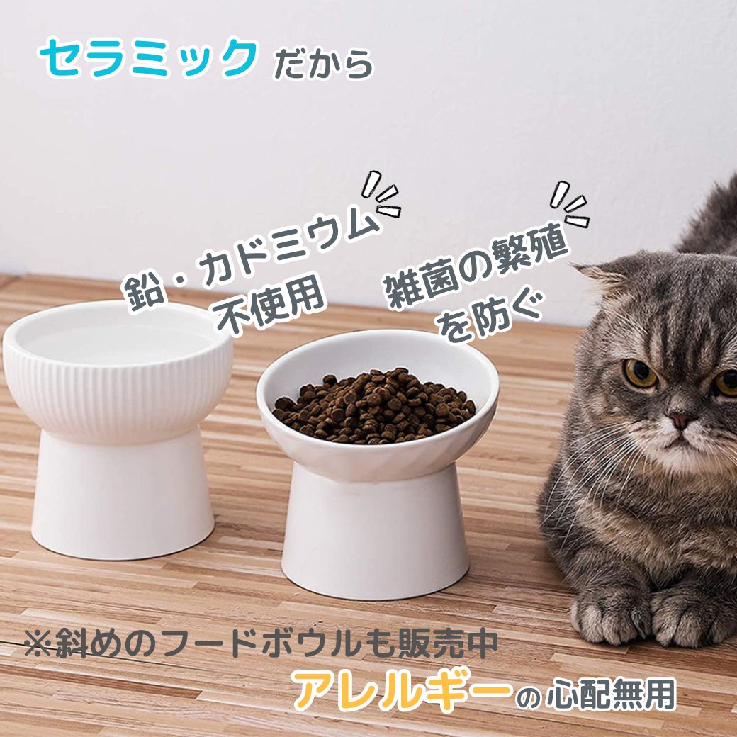 フードボウル 猫 犬 陶器 食器 ペット 餌皿 猫用食器 ペット用 斜め お皿 水飲み 食器台 食べやすい 傾斜 陶器 ダブル