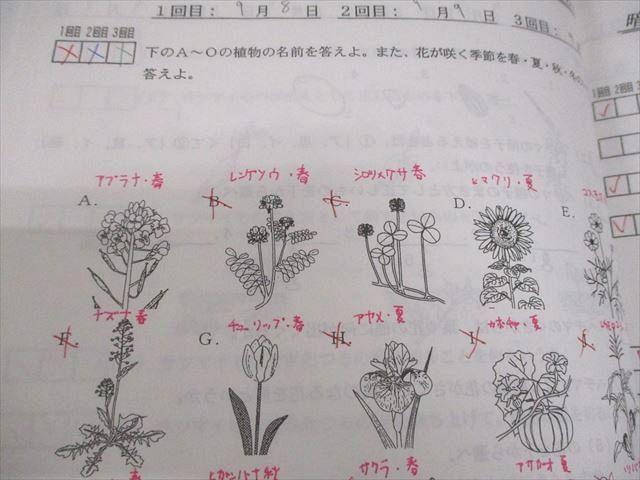 浜学園 小6 日曜錬成特訓 理科【基礎講座】 2〜6月1回目/2回目 テキストセット 2024 計10冊 034S2D 楽天市場】浜学園 小6 日曜錬成特訓 理科 基礎講座 2〜6月1/2