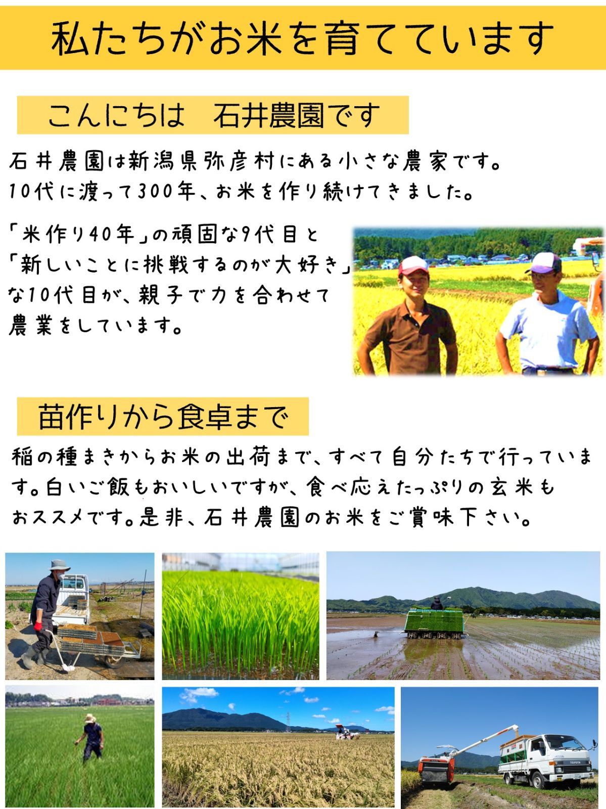 【新米・送料込み】新潟県弥彦村石井農園　令和6年（2024年）産コシヒカリ【玄米 30kg】